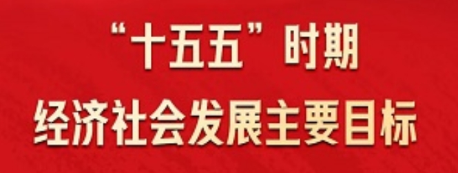 “十五五”主要目标！